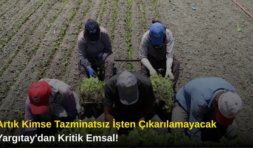 Artık Kimse Tazminatsız İşten Çıkarılamayacak: Yargıtay'dan Kritik Emsal!"