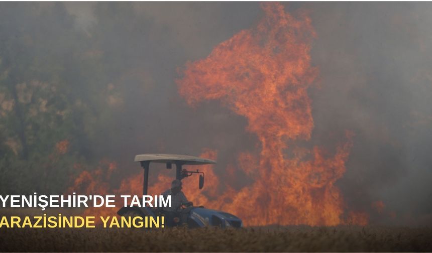 Yenişehir'de tarım arazisinde yangın!