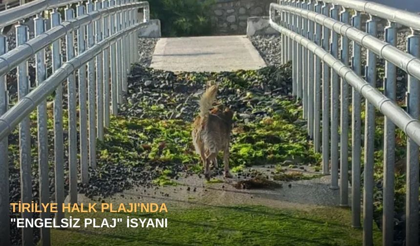 Tirilye Halk Plajı'nda "Engelsiz Plaj" isyanı
