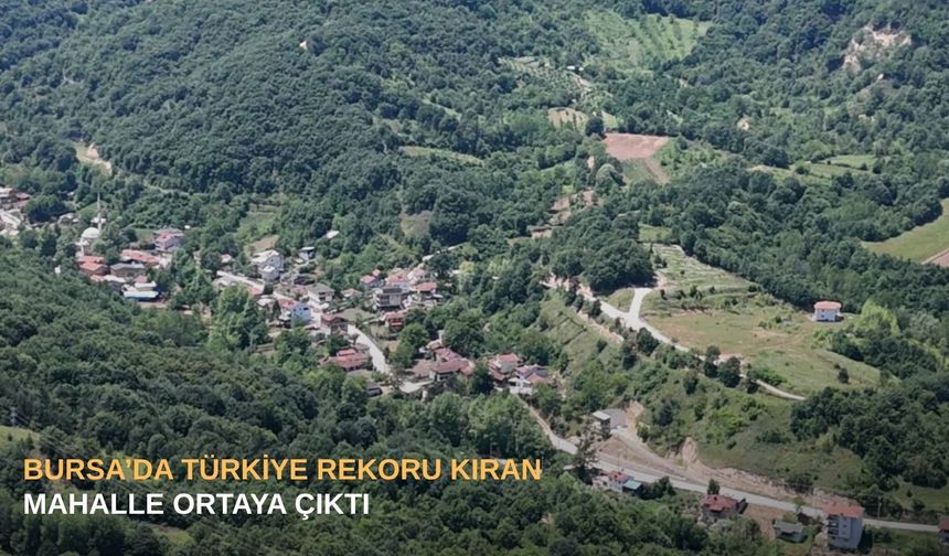 Bursa’da Türkiye rekoru kıran mahalle ortaya çıktı