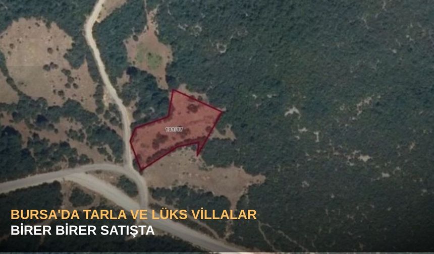 Bursa'da tarla ve lüks villalar birer birer satışta