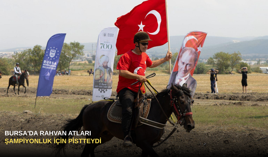 Bursa'da Rahvan Atları Şampiyonluk İçin Pistteydi