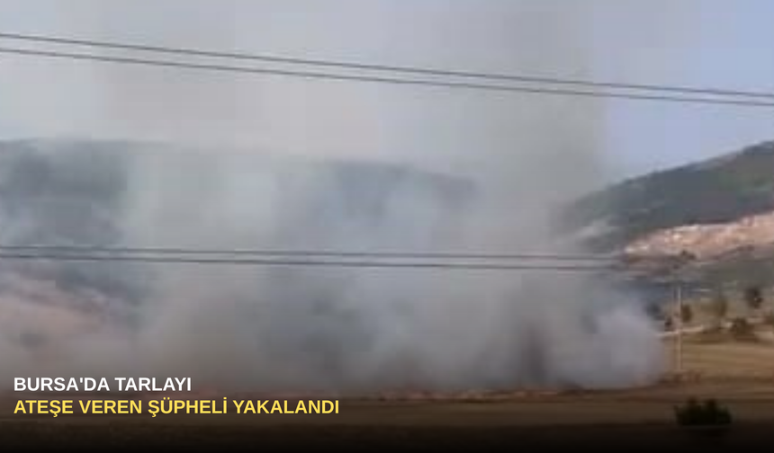 Bursa'da Tarlayı Ateşe Veren Şüpheli Yakalandı