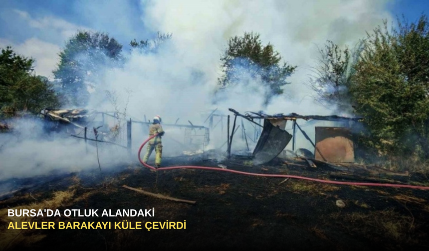 Bursa'da Otluk Alandaki Alevler Barakayı Küle Çevirdi