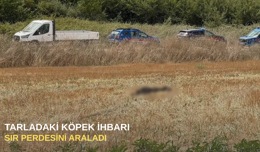Tarladaki köpek ihbarı sır perdesini araladı