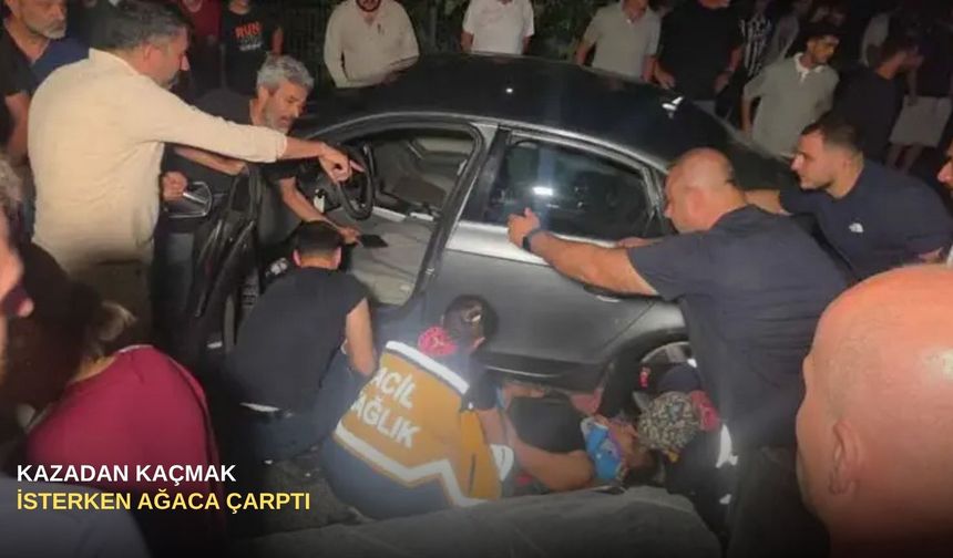 Kazadan kaçmak isterken ağaca çarptı