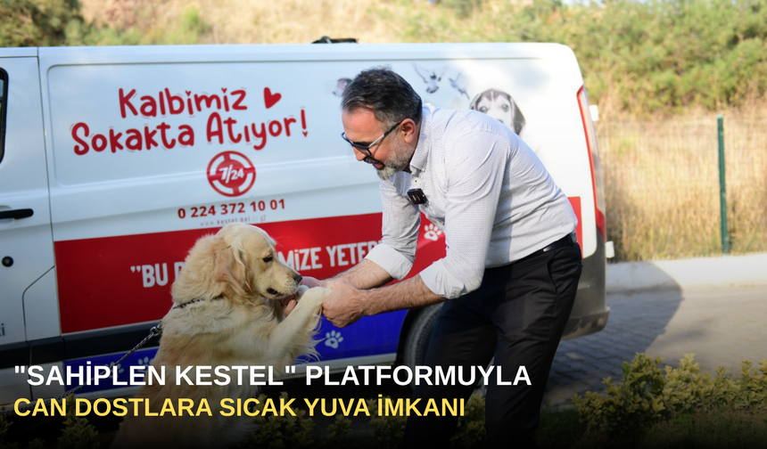 "Sahiplen Kestel" Platformuyla Can Dostlara Sıcak Yuva İmkanı