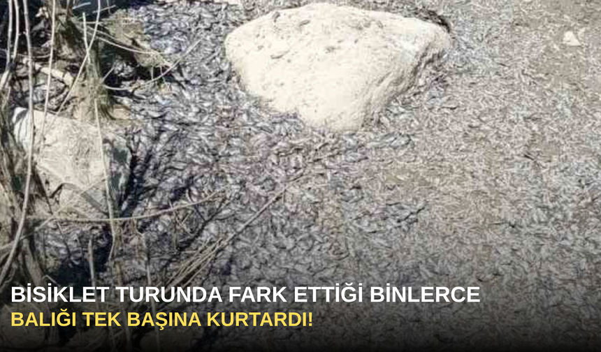 Bisiklet Turunda Fark Ettiği Binlerce Balığı Tek Başına Kurtardı!