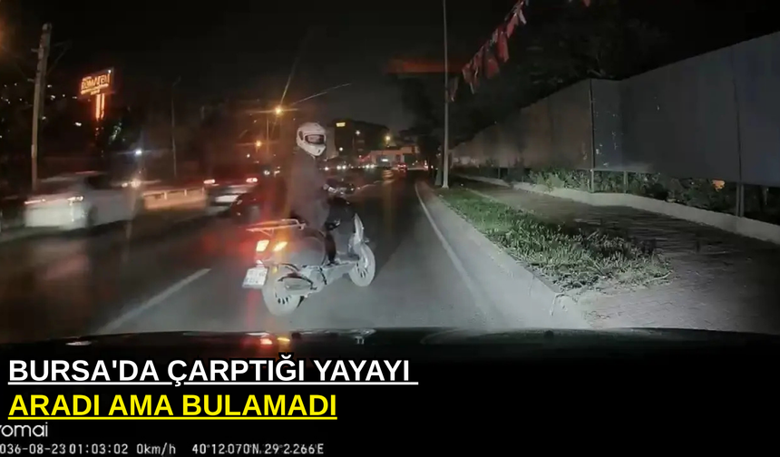Bursa'da çarptığı yayayı aradı ama bulamadı