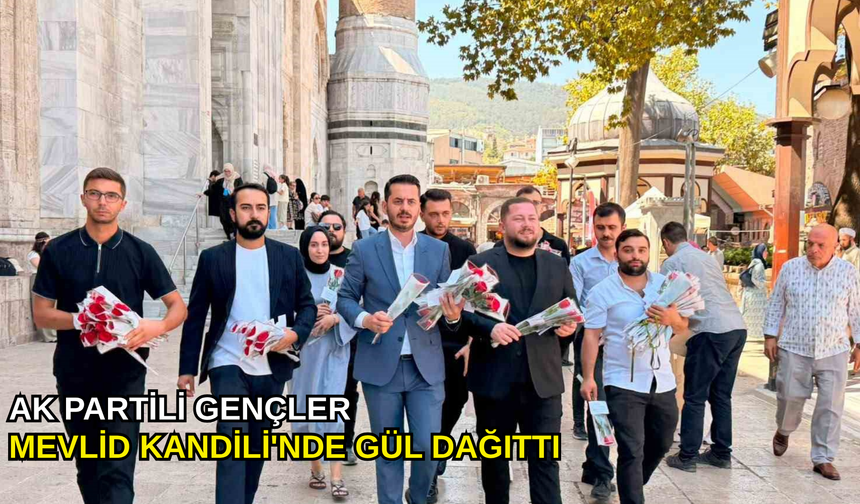 AK Partili gençler Mevlid Kandili'nde gül dağıttı