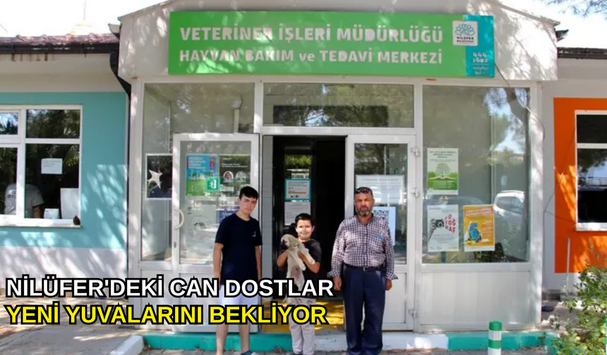 Nilüfer'deki can dostlar yeni yuvalarını bekliyor