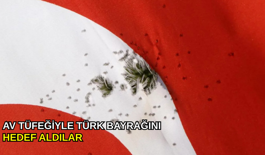 Av tüfeğiyle Türk Bayrağını hedef aldılar