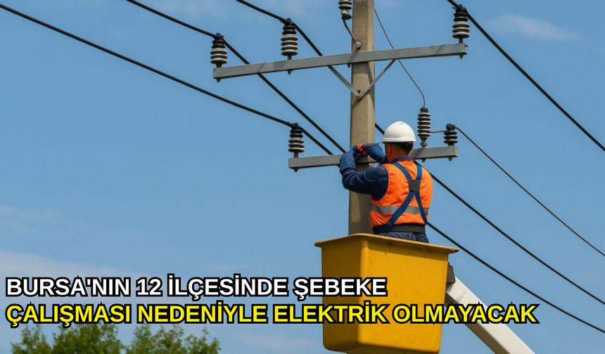 Bursa'nın 12 ilçesinde şebeke çalışması nedeniyle elektrik olmayacak