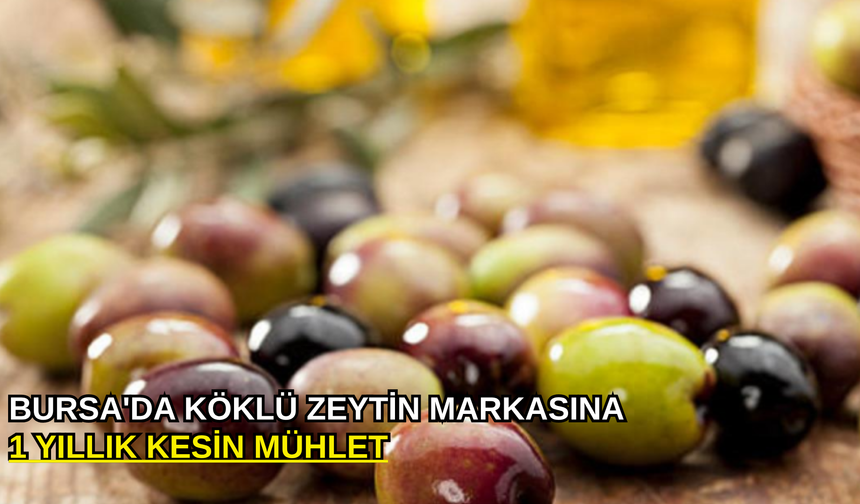 Bursa'da köklü zeytin markasına 1 yıllık kesin mühlet