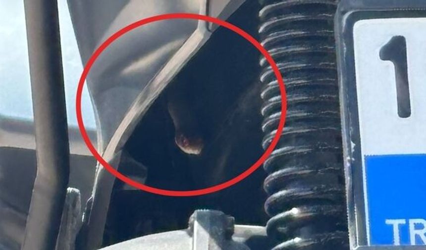 İnegöl'de motorun içine yılan girdi