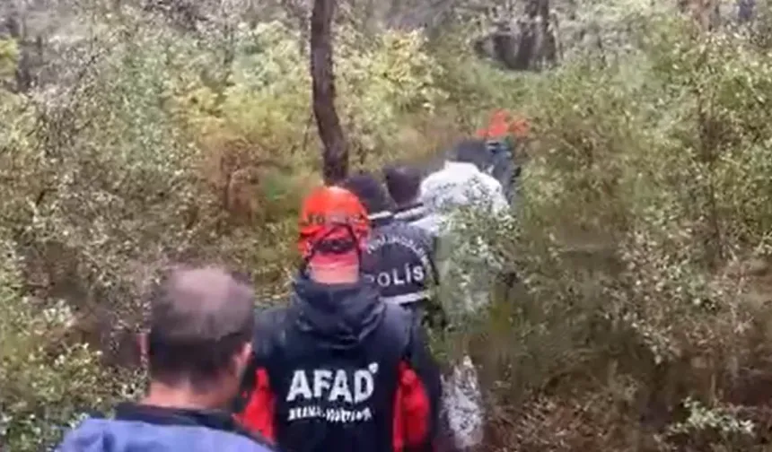 Aylardır Kayıptı, Ormanda Bulundu