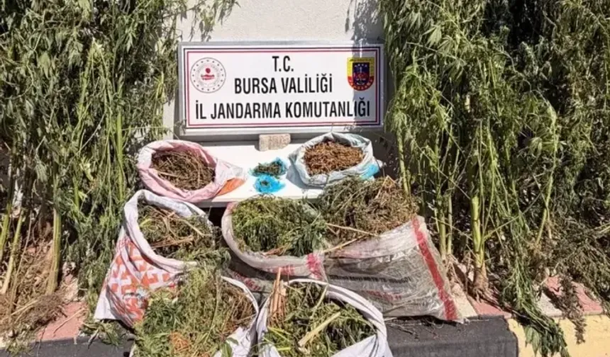 Karacabey'de uyuşturucu operasyonunda 22 kilo esrar ele geçirildi